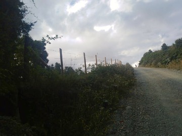 Imagen 9