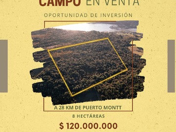 Venta / Terreno Agricola / Calbuco