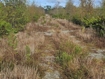 Venta / Terreno Agricola / Calbuco