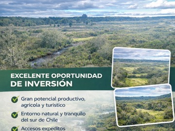 Venta / Terreno Agricola / Calbuco