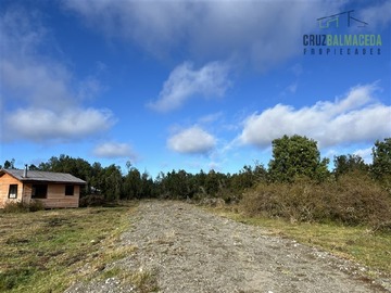 Imagen 9