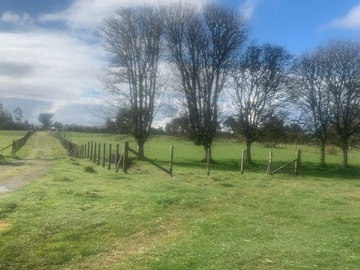 Venta / Terreno Agricola / Calbuco