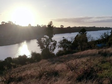 Venta / Terreno Agricola / Calbuco