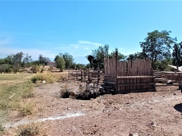 Venta / Terreno Agricola / Calle Larga