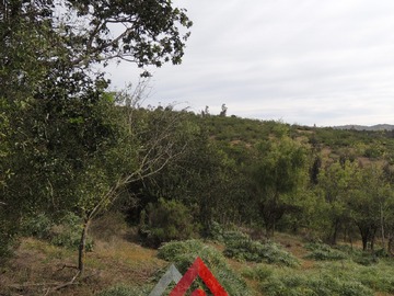 Imagen 28