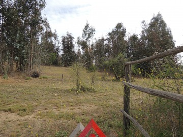 Imagen 6