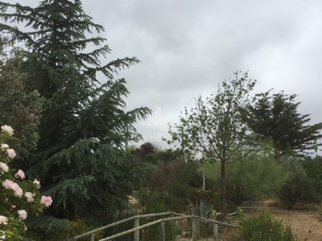 Venta / Terreno Agricola / Casablanca