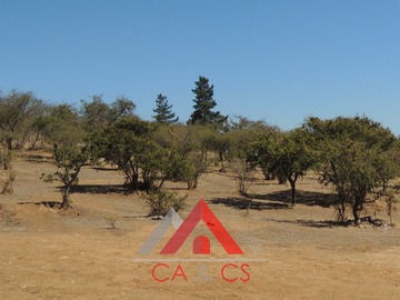Imagen 11
