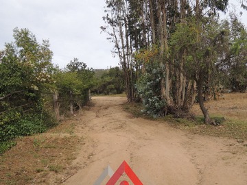 Imagen 7