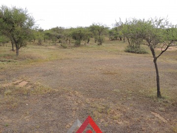 Imagen 12