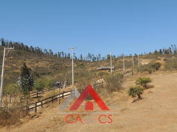 Imagen 21