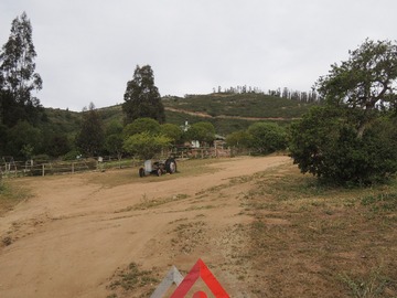 Imagen 10