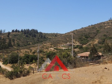 Imagen 13
