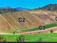 Venta / Terreno Agricola / Casablanca
