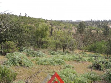 Imagen 27