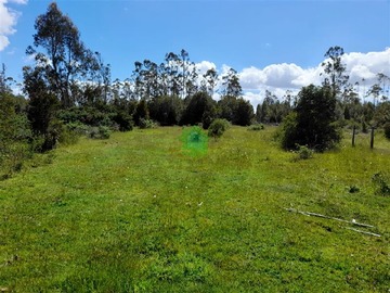 Venta / Terreno Agricola / Castro