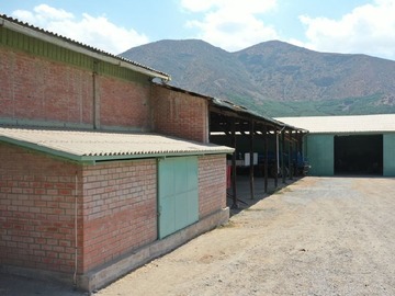 Imagen 4