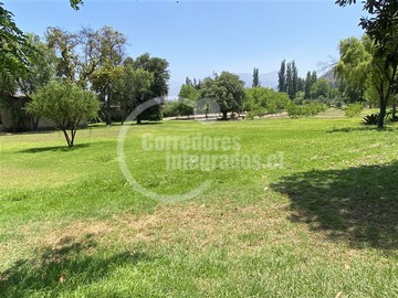 Imagen 6