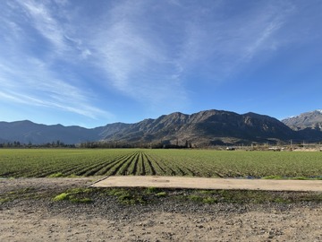 Venta / Terreno Agricola / Catemu