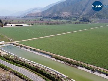 Venta / Terreno Agricola / Catemu