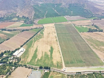 Venta / Terreno Agricola / Catemu