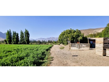 Venta / Terreno Agricola / Catemu