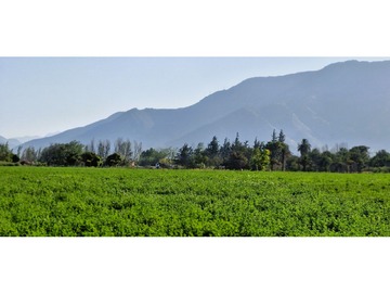 Imagen 11
