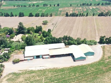 Venta / Terreno Agricola / Catemu
