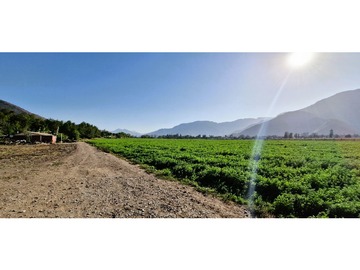 Venta / Terreno Agricola / Catemu