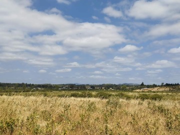 Venta / Terreno Agricola / Cauquenes