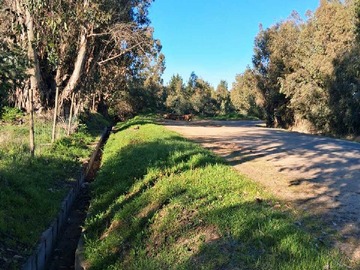 Venta / Terreno Agricola / Cauquenes