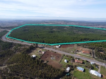 Venta / Terreno Agricola / Cauquenes