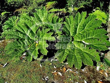 Imagen 8