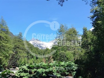 Imagen 7