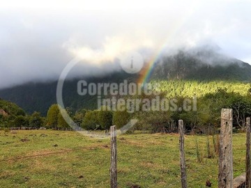 Imagen 10