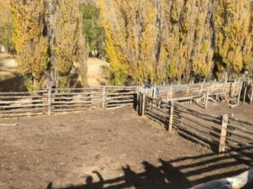 Imagen 5