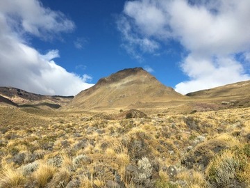 Imagen 29