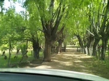 Imagen 4