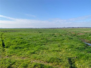 Venta / Terreno Agricola / Chillán Viejo