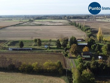 Venta / Terreno Agricola / Chillán