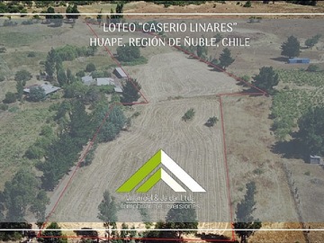 Venta / Terreno Agricola / Chillán