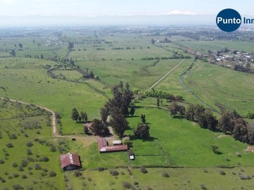Venta / Terreno Agricola / Chillán