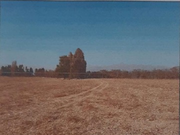 Venta / Terreno Agricola / Chimbarongo