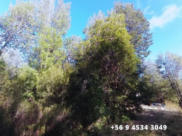 Imagen 9