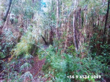 Imagen 5