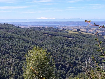 Venta / Terreno Agricola / Chonchi