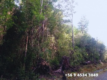 Imagen 6