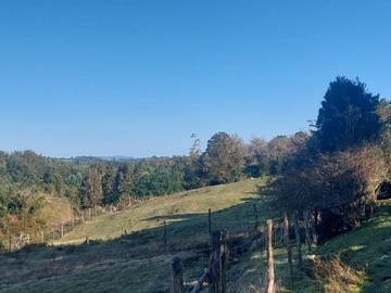 Venta / Terreno Agricola / Chonchi