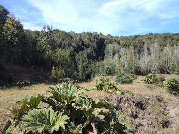 Imagen 6