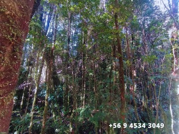 Imagen 11